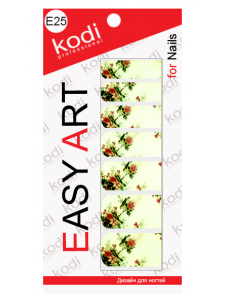 Easy Art E25, KODI